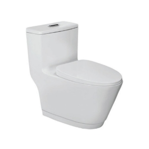 Picture of रिमलेस सिंगल पीस-WC